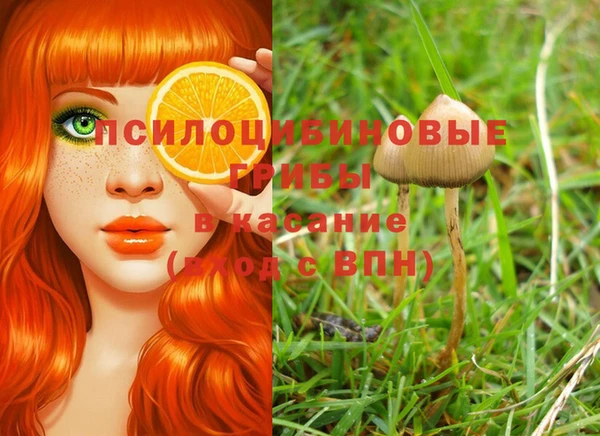 каннабис Лабытнанги