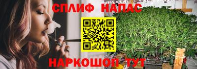 прущие крисы Камышлов