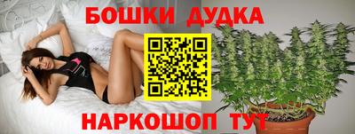 прущие крисы Камышлов