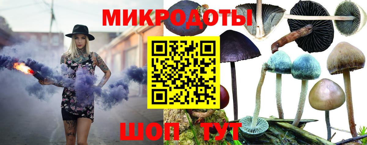 Медногорск  Псилоцибиновые грибы Psilocybine cubensis  Вход с VPN 
